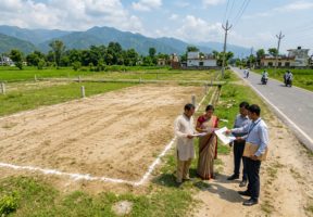 Plot Loan